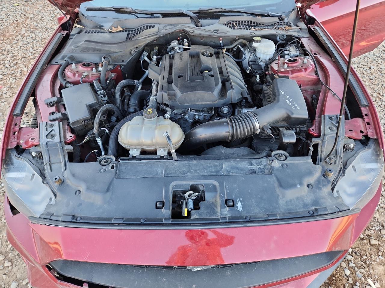 2019 Ford Mustang VIN: 1FA6P8TH8K5166364 Lot: 86312305