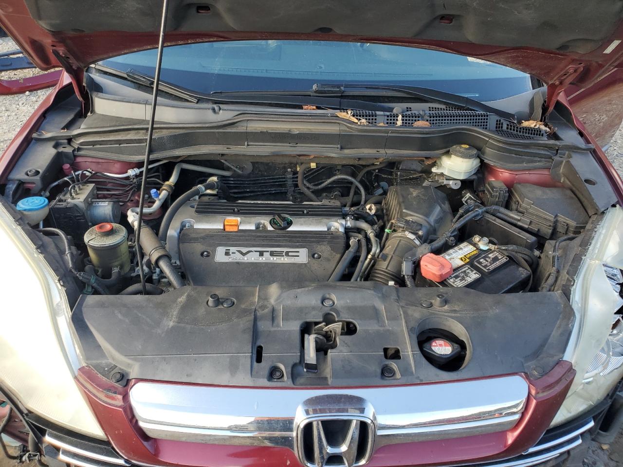 2008 Honda Cr-V Exl VIN: 5J6RE38768L009768 Lot: 92102115