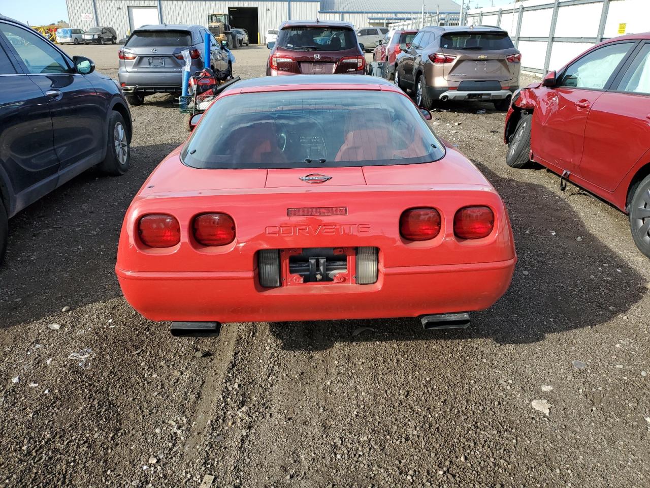 1992 Chevrolet Corvette VIN: 1G1YY23P6N5113048 Lot: 81938935