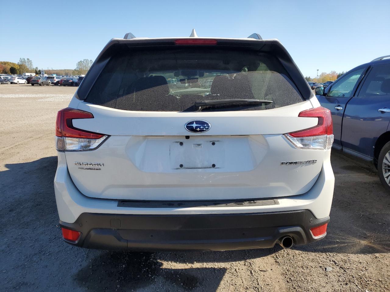 2020 Subaru Forester Limited VIN: JF2SKEUC4LH556842 Lot: 87233845