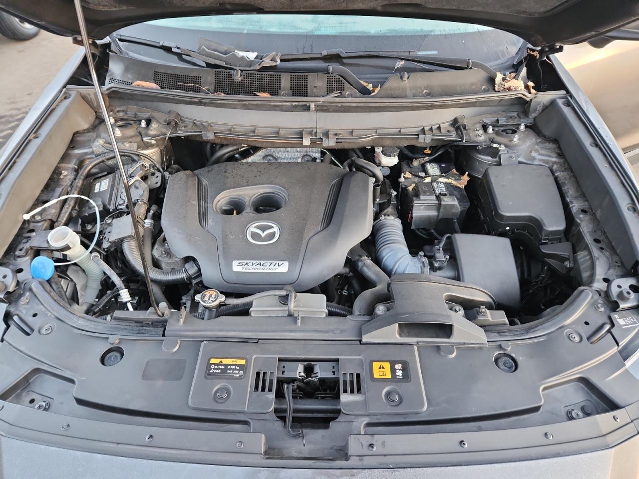 2019 Mazda Cx-9 Touring VIN: JM3TCBCY1K0335294 Lot: 87220995