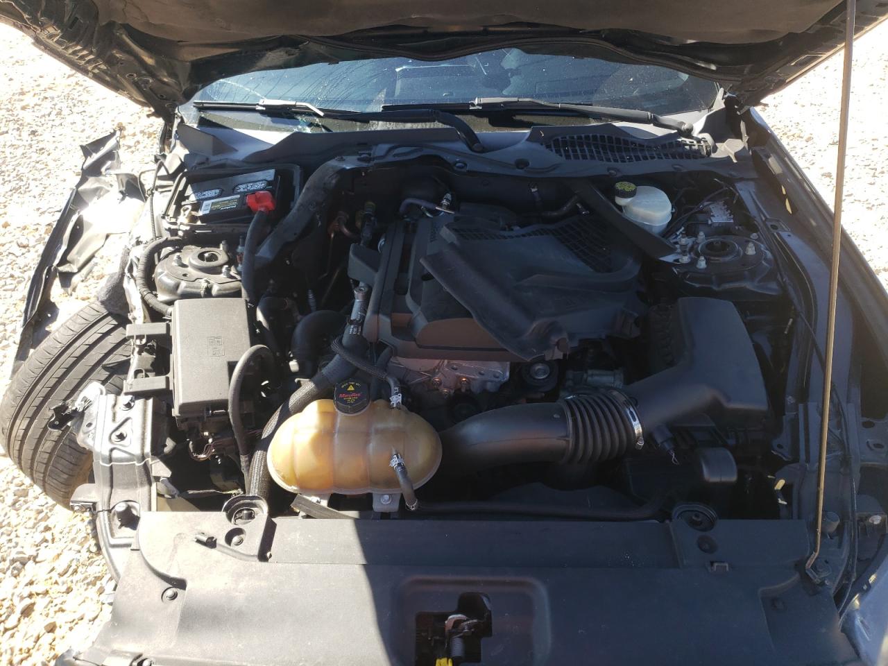 2015 Ford Mustang VIN: 1FA6P8TH5F5354197 Lot: 86885605