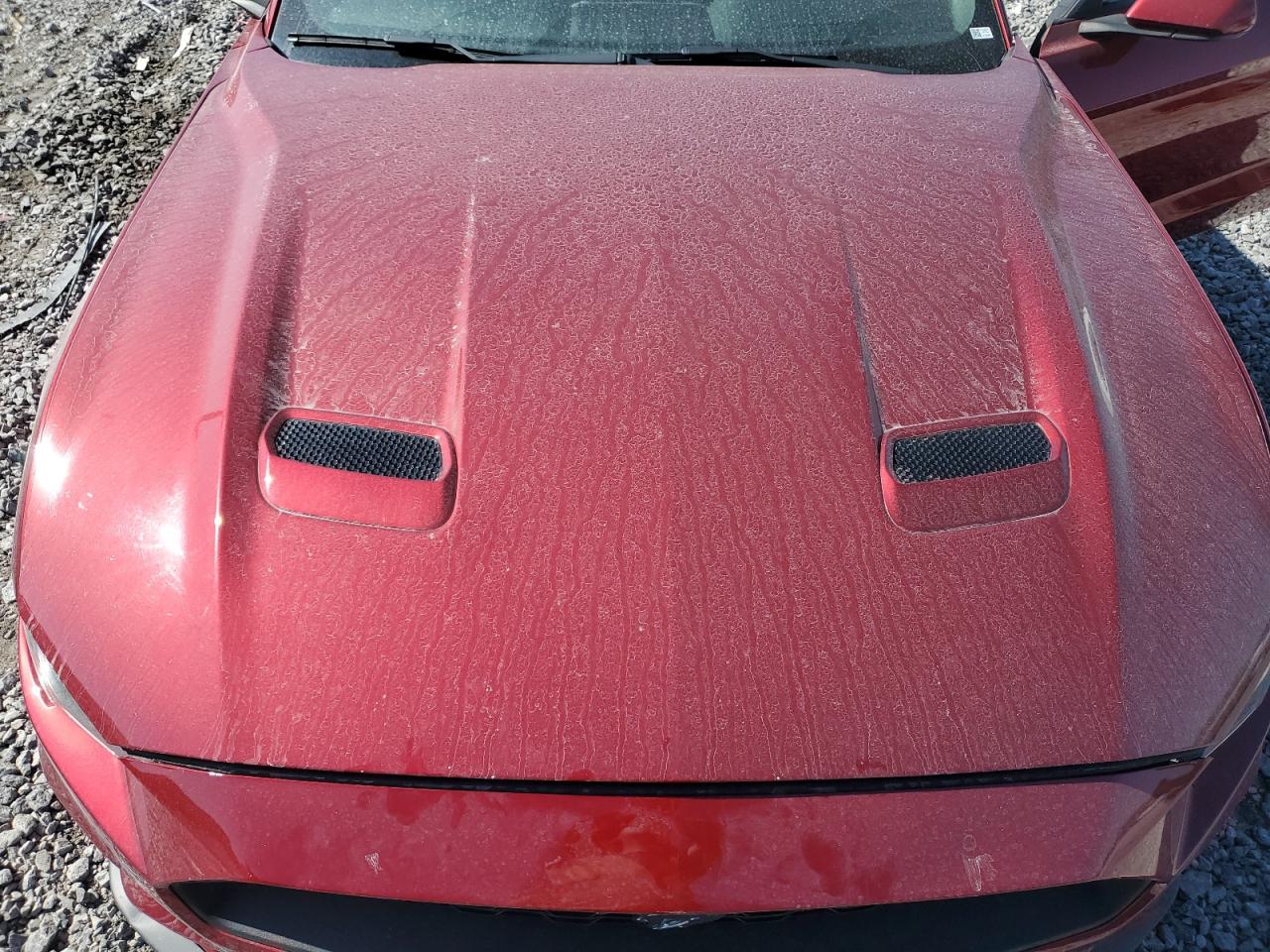 2019 Ford Mustang VIN: 1FA6P8TH2K5199585 Lot: 82232095