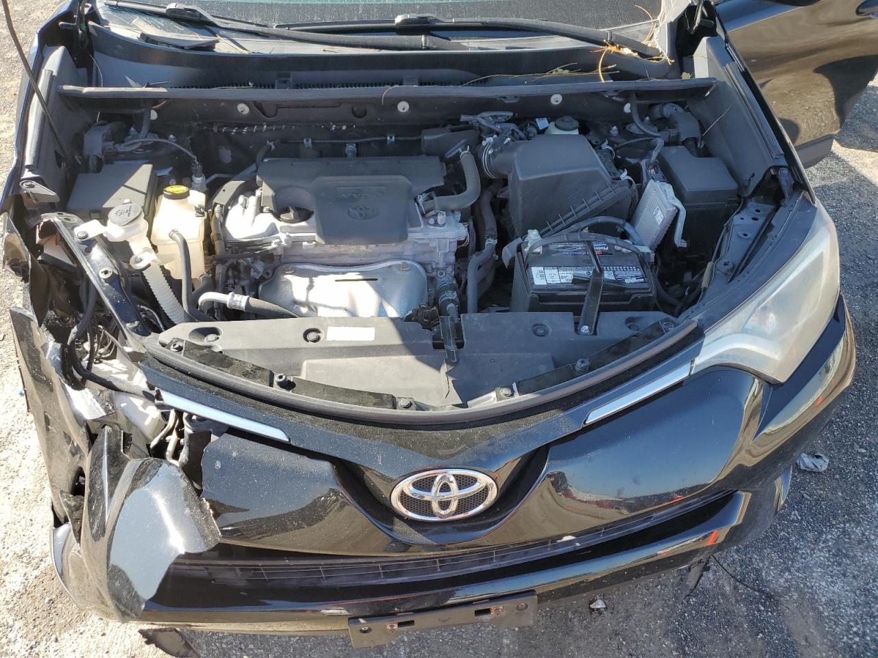 2016 Toyota Rav4 Xle VIN: 2T3RFREV3GW422753 Lot: 84913605