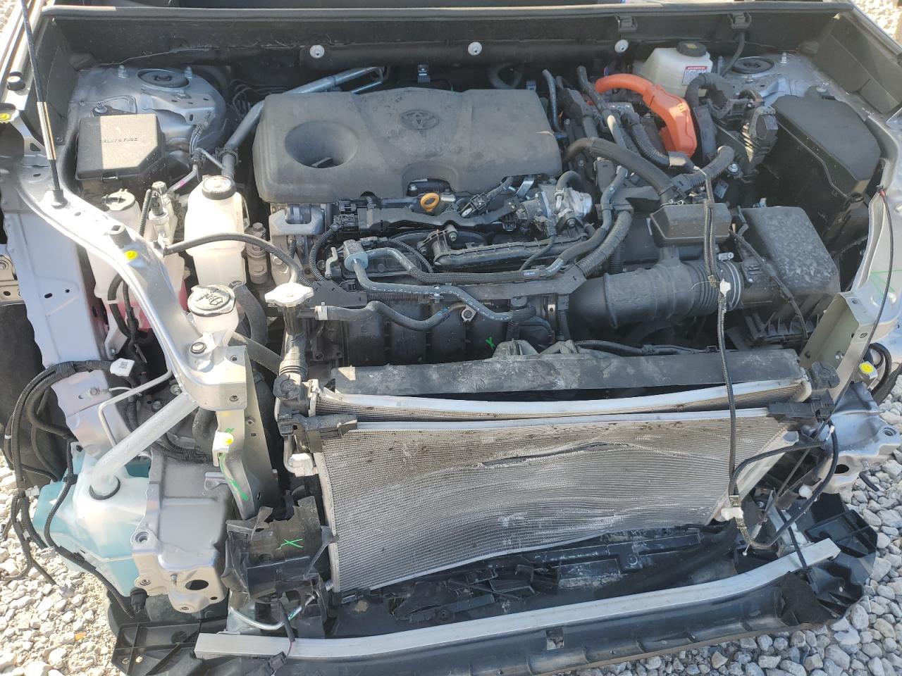 2024 Toyota Rav4 Xle VIN: 4T3RWRFV8RU158768 Lot: 86317725