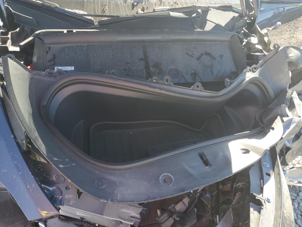 2023 Tesla Model Y VIN: 7SAYGAEE6PF887787 Lot: 87112585