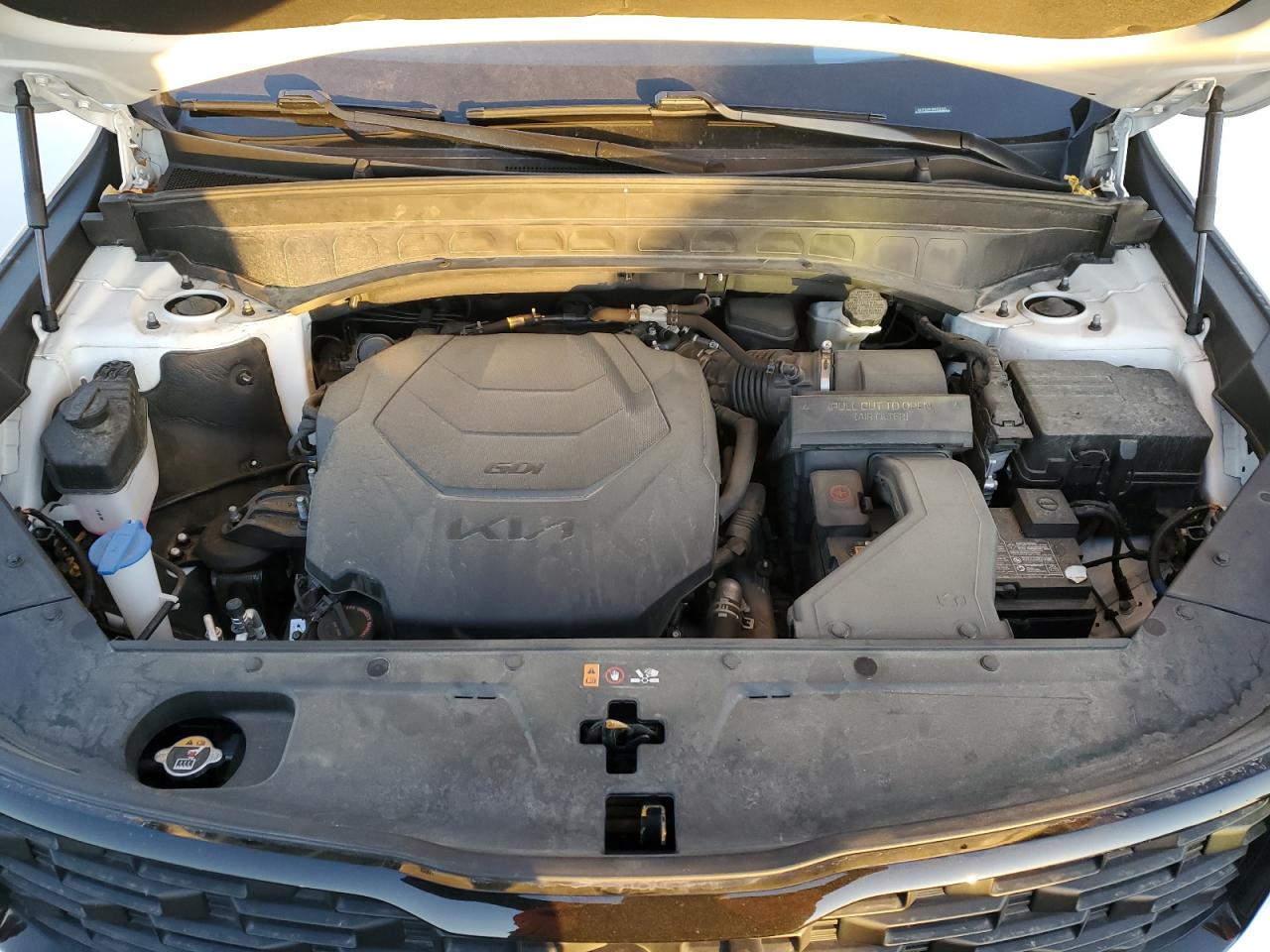 2022 Kia Telluride Sx VIN: 5XYP5DHC3NG292895 Lot: 91164855