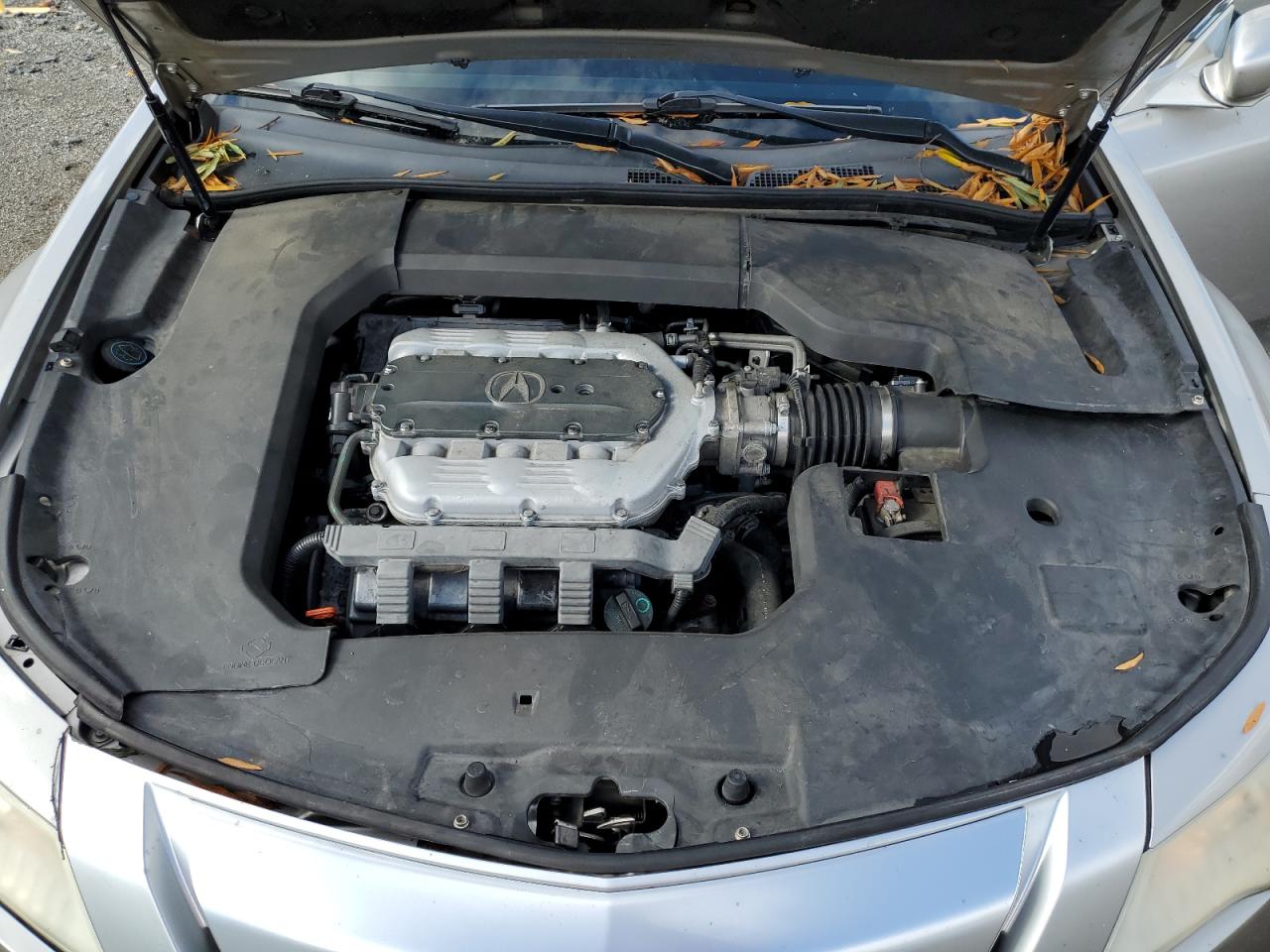 2009 Acura Tl VIN: 19UUA96519A005755 Lot: 90795335