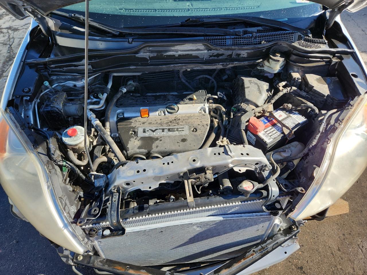 2007 Honda Cr-V Exl VIN: JHLRE38777C041264 Lot: 85298515