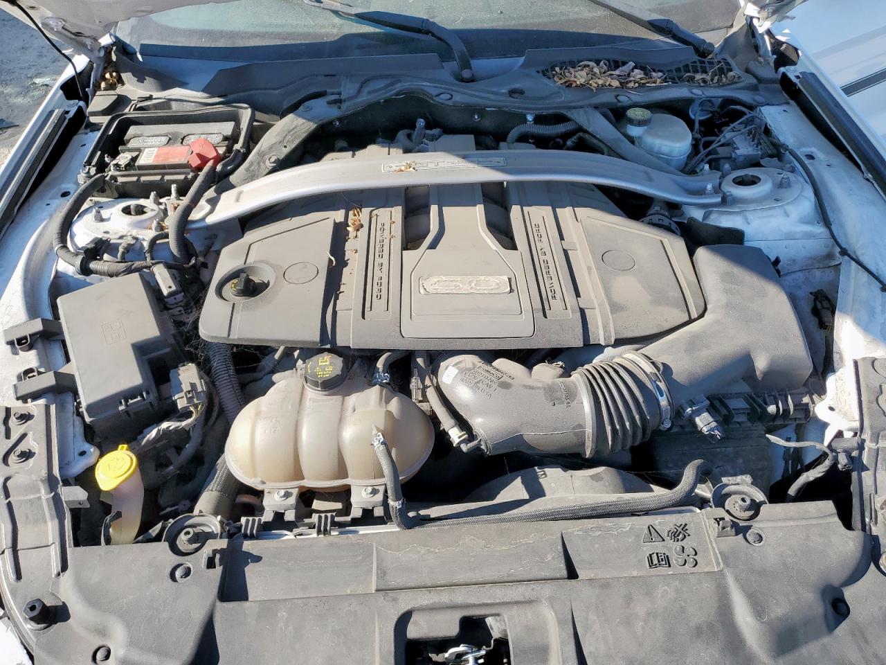 2019 Ford Mustang Gt VIN: 1FA6P8CF1K5118171 Lot: 85841065