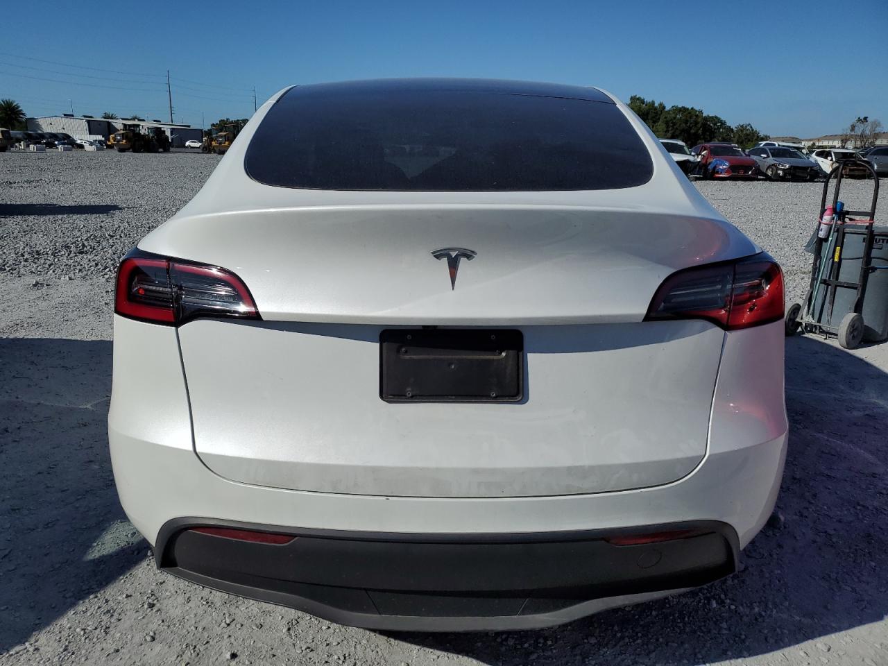 2025 Tesla Model Y VIN: 7SAYGDED9SF254654 Lot: 85929465