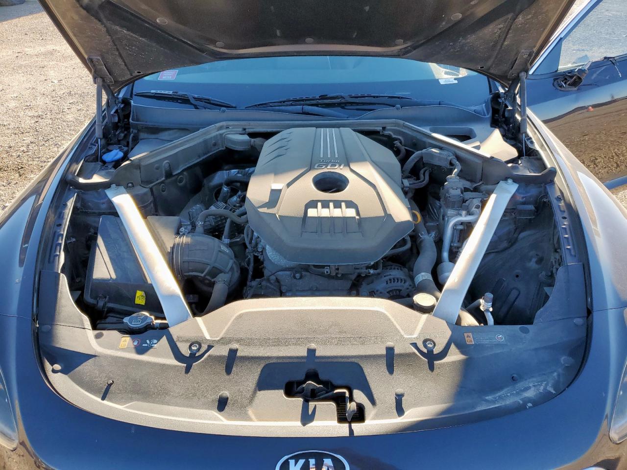 2019 Kia Stinger VIN: KNAE15LA6K6045171 Lot: 90023715