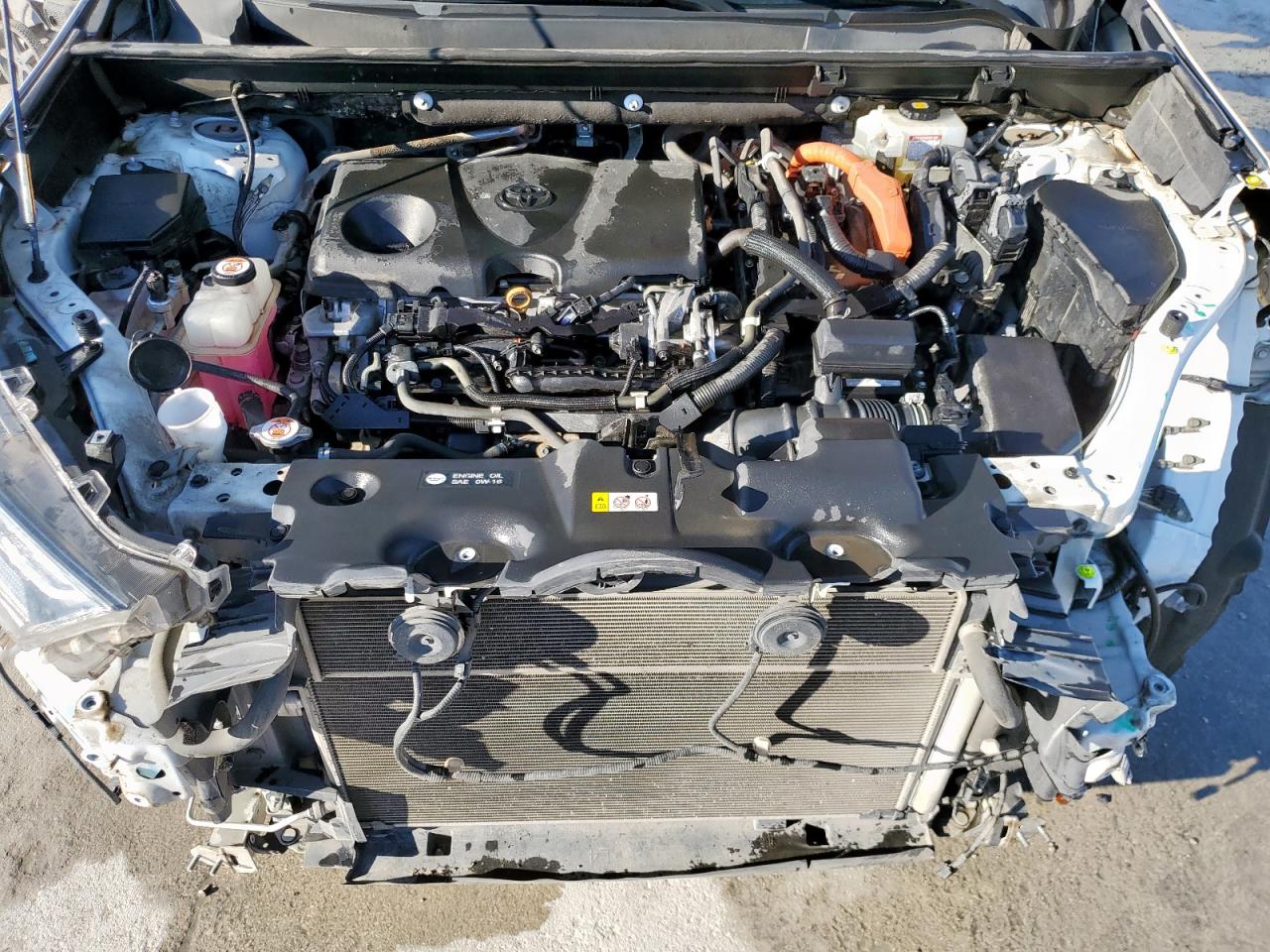2020 Toyota Rav4 Xle VIN: 2T3RWRFV9LW085515 Lot: 86170285