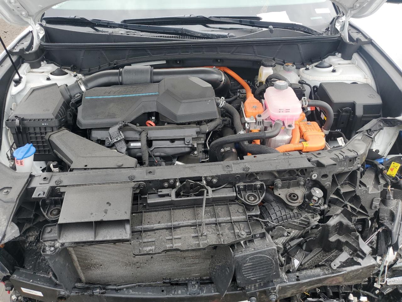 2024 Hyundai Tucson Limited VIN: KM8JECD19RU155755 Lot: 85678235