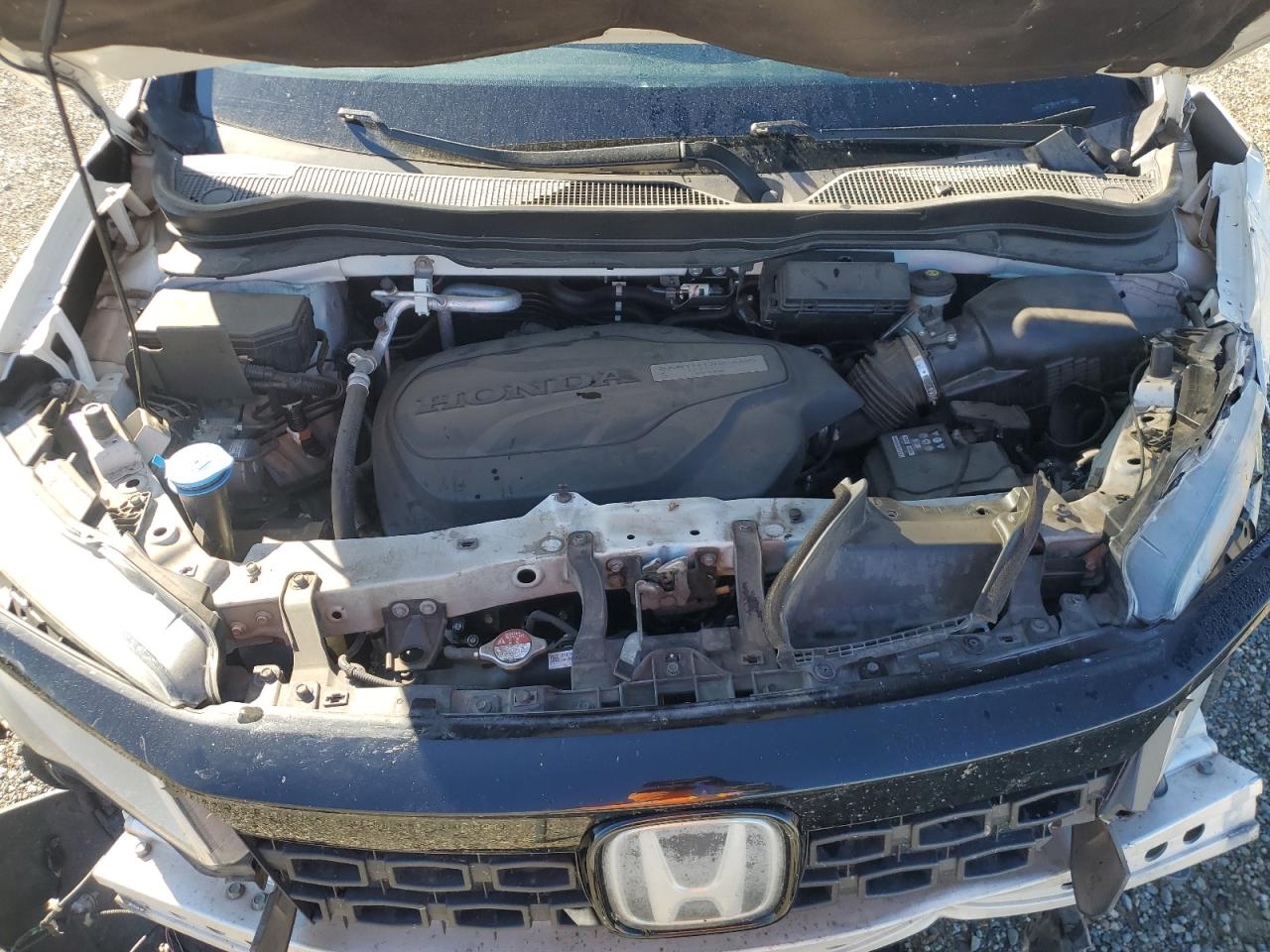 2019 Honda Passport Elite VIN: 5FNYF8H03KB003077 Lot: 87034305