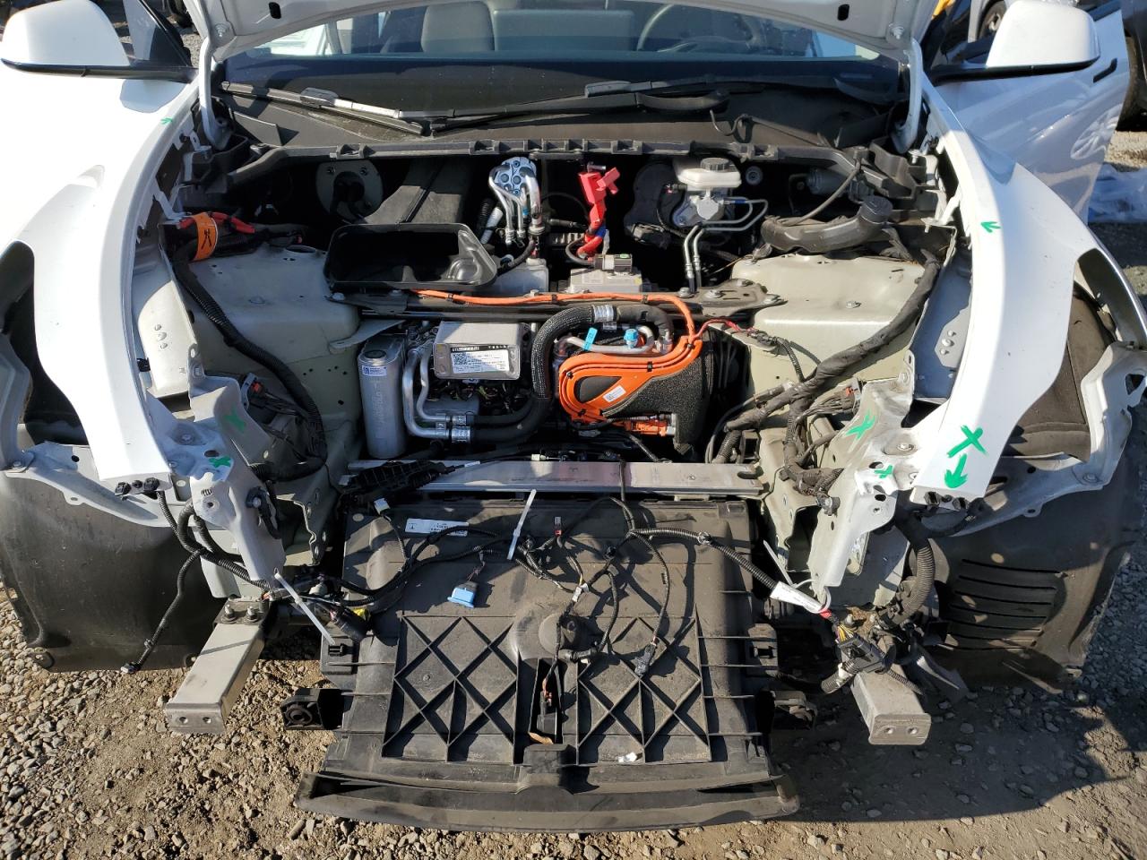 2023 Tesla Model Y VIN: 7SAYGDEE4PA027479 Lot: 85198395