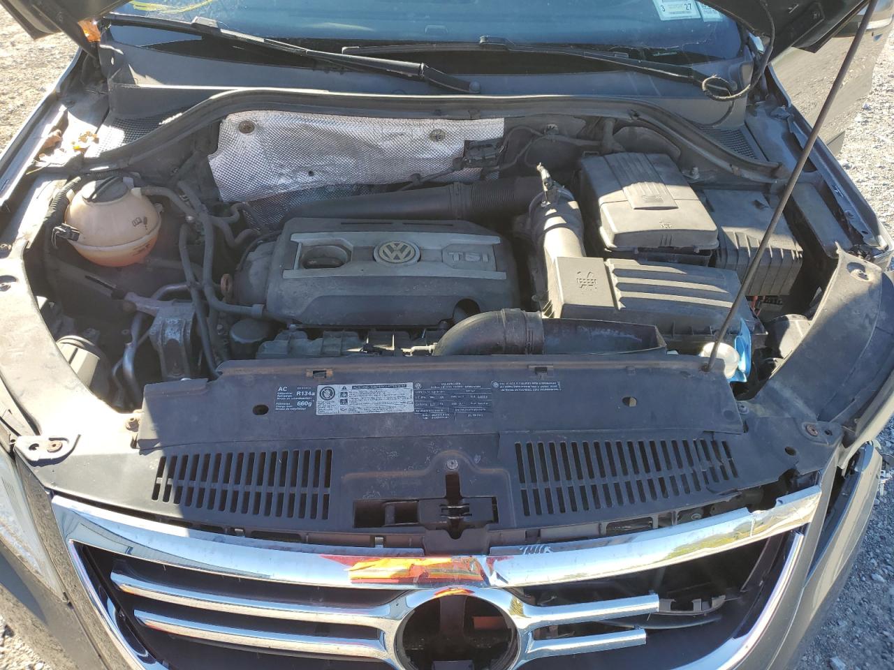 2011 Volkswagen Tiguan S VIN: WVGBV7AX9BW513693 Lot: 82323815