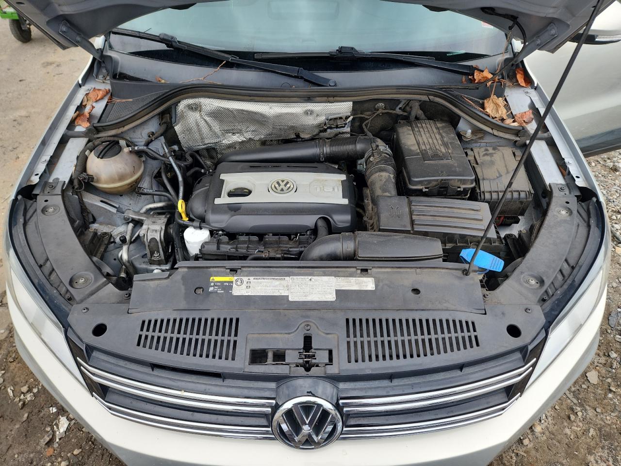 2015 Volkswagen Tiguan S VIN: WVGAV7AX6FW593469 Lot: 90847545