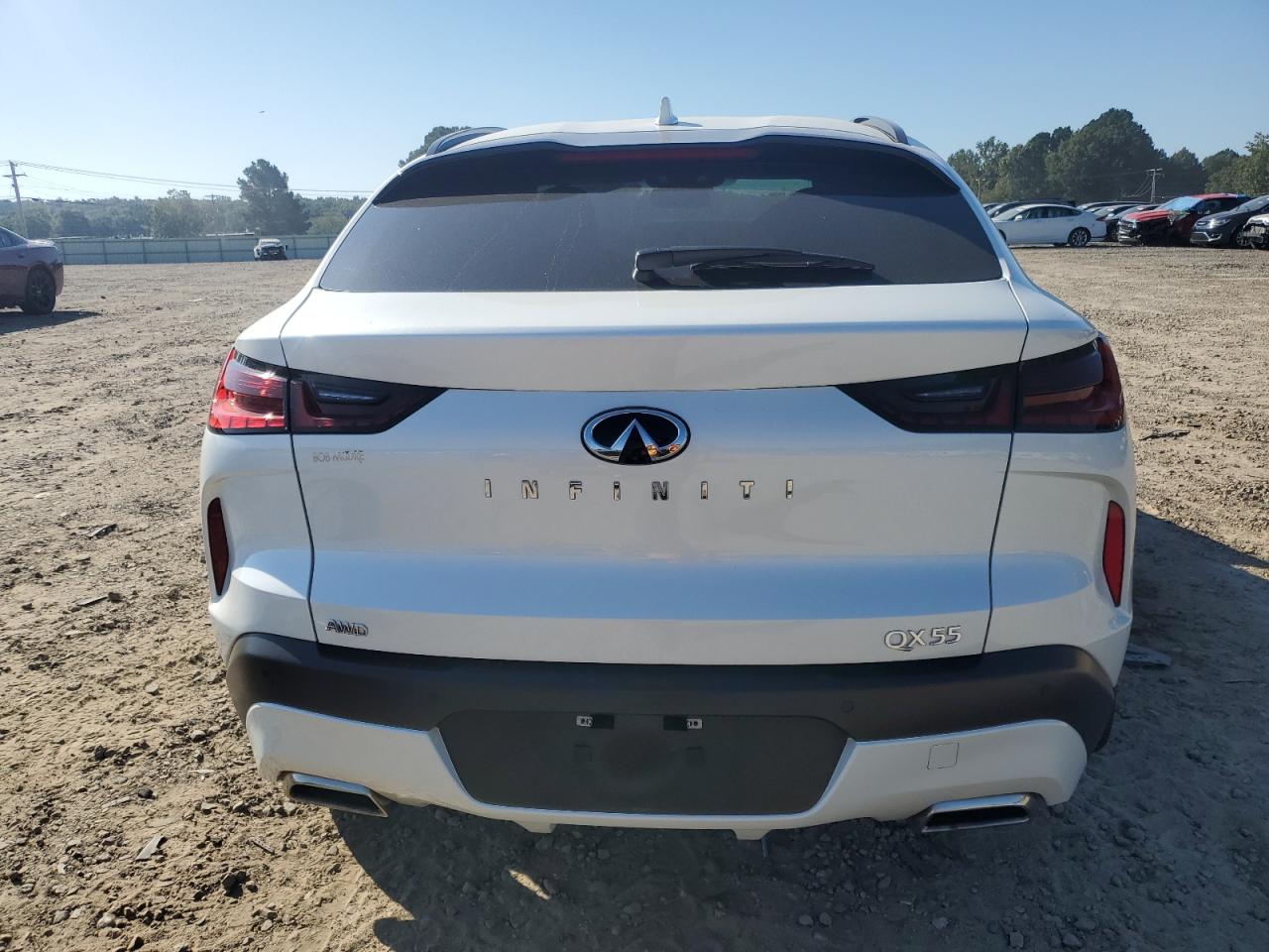 2023 Infiniti Qx55 Luxe VIN: 3PCAJ5JR3PF112749 Lot: 81971975