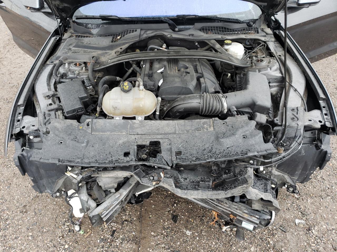 2019 Ford Mustang VIN: 1FA6P8TH1K5102831 Lot: 86589425