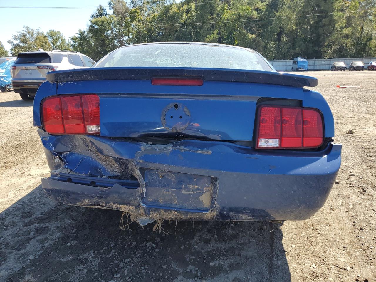 2009 Ford Mustang VIN: 1ZVHT80N995141781 Lot: 82434085