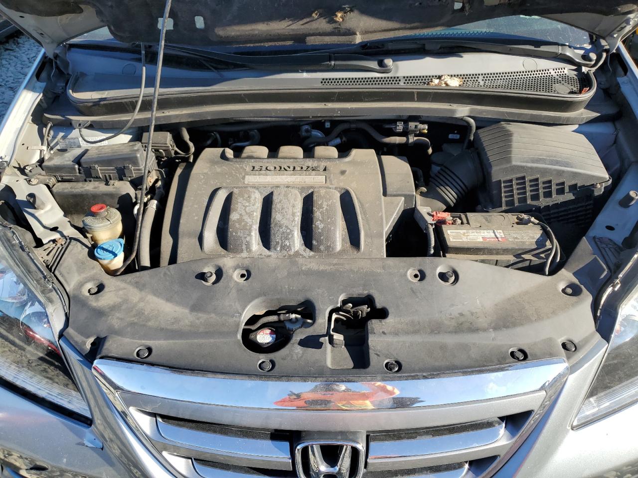 2006 Honda Odyssey Exl VIN: 5FNRL38616B120795 Lot: 84301965