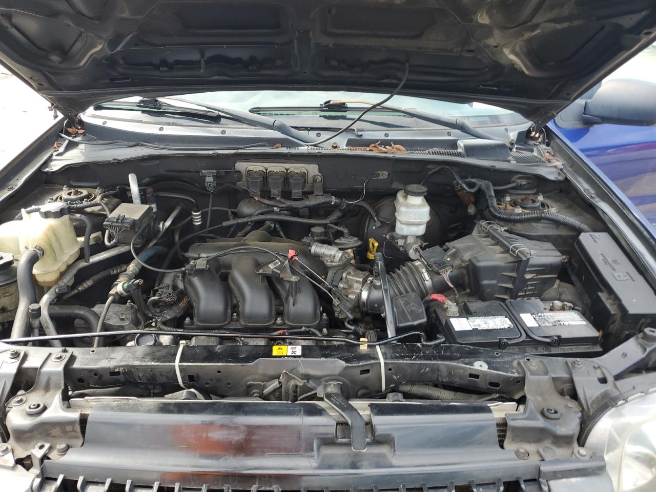 2006 Ford Escape Xlt VIN: 1FMYU03196KA87014 Lot: 86074035