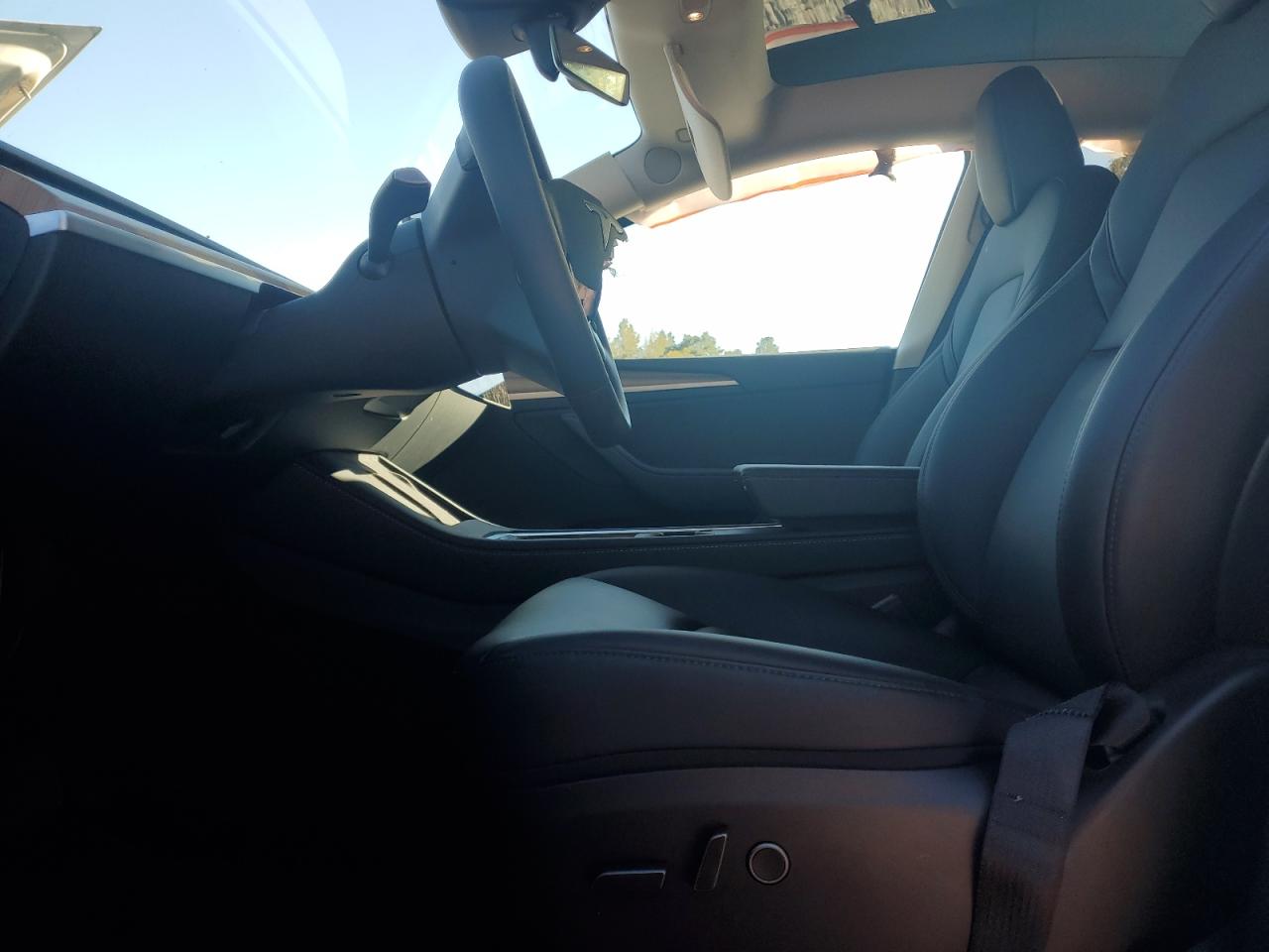 2024 Tesla Model Y VIN: 7SAYGDEE3RA333172 Lot: 82583275