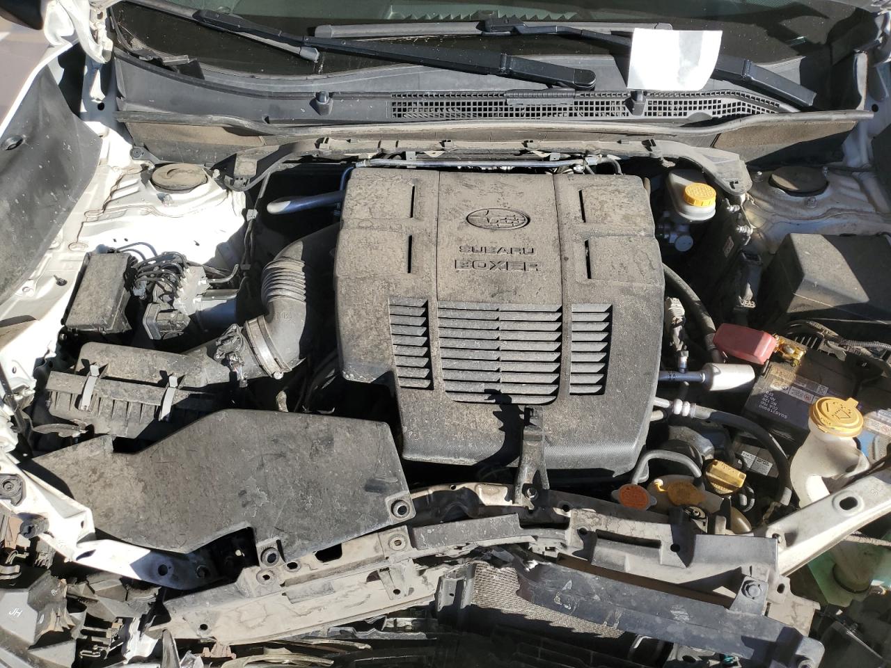 2019 Subaru Forester Limited VIN: JF2SKASC3KH401810 Lot: 84818215