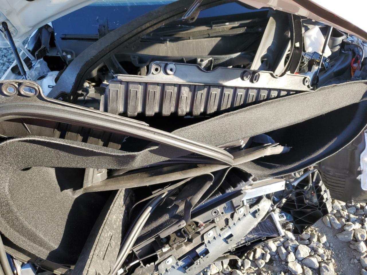 2024 Tesla Model X VIN: 7SAXCBE54RF459703 Lot: 81952325