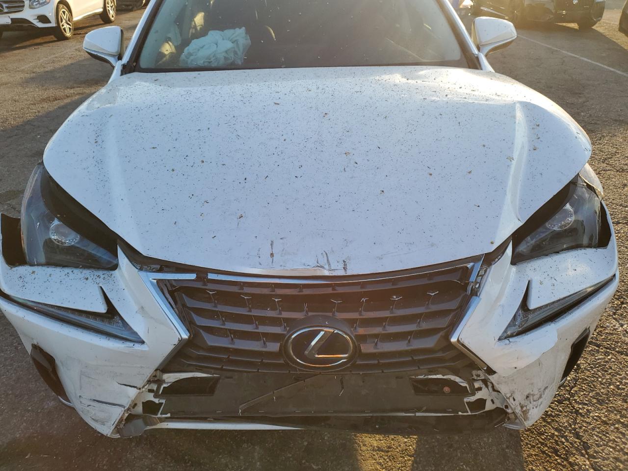 2020 Lexus Nx 300H VIN: JTJGJRDZ3L5010258 Lot: 85591925