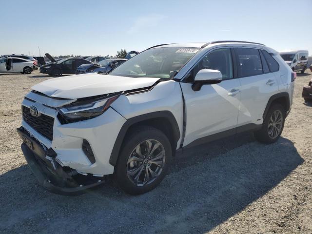  TOYOTA RAV4 2023 Белы