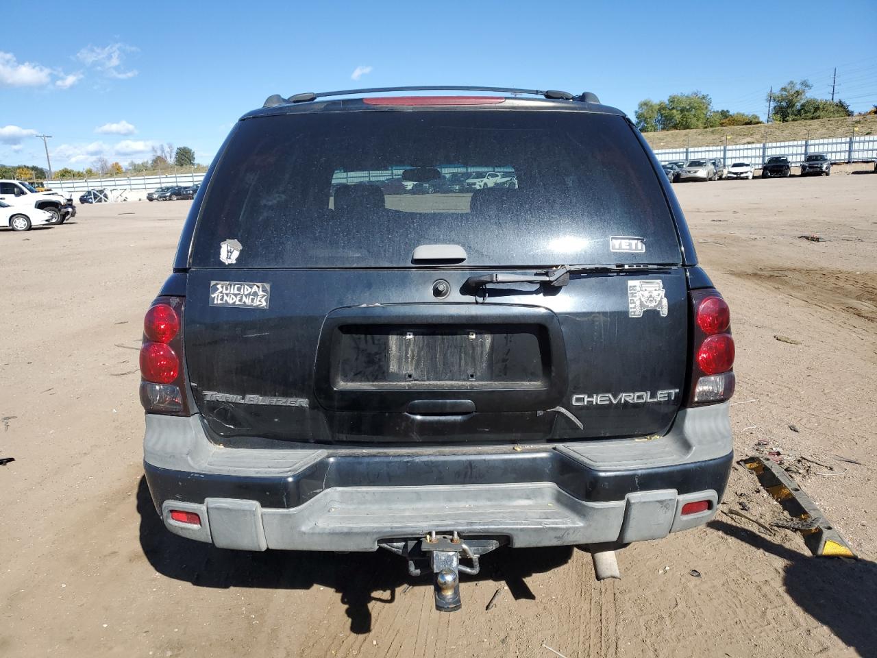 2002 Chevrolet Trailblazer VIN: 1GNDT13S622124820 Lot: 87049345