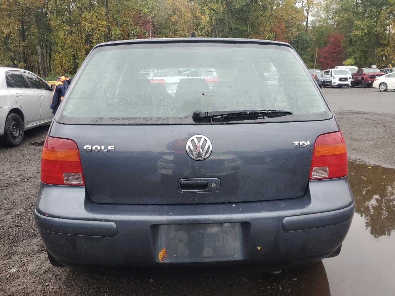 2004 Volkswagen Golf Gl Tdi VIN: 9BWFR61J344017227 Lot: 85846625