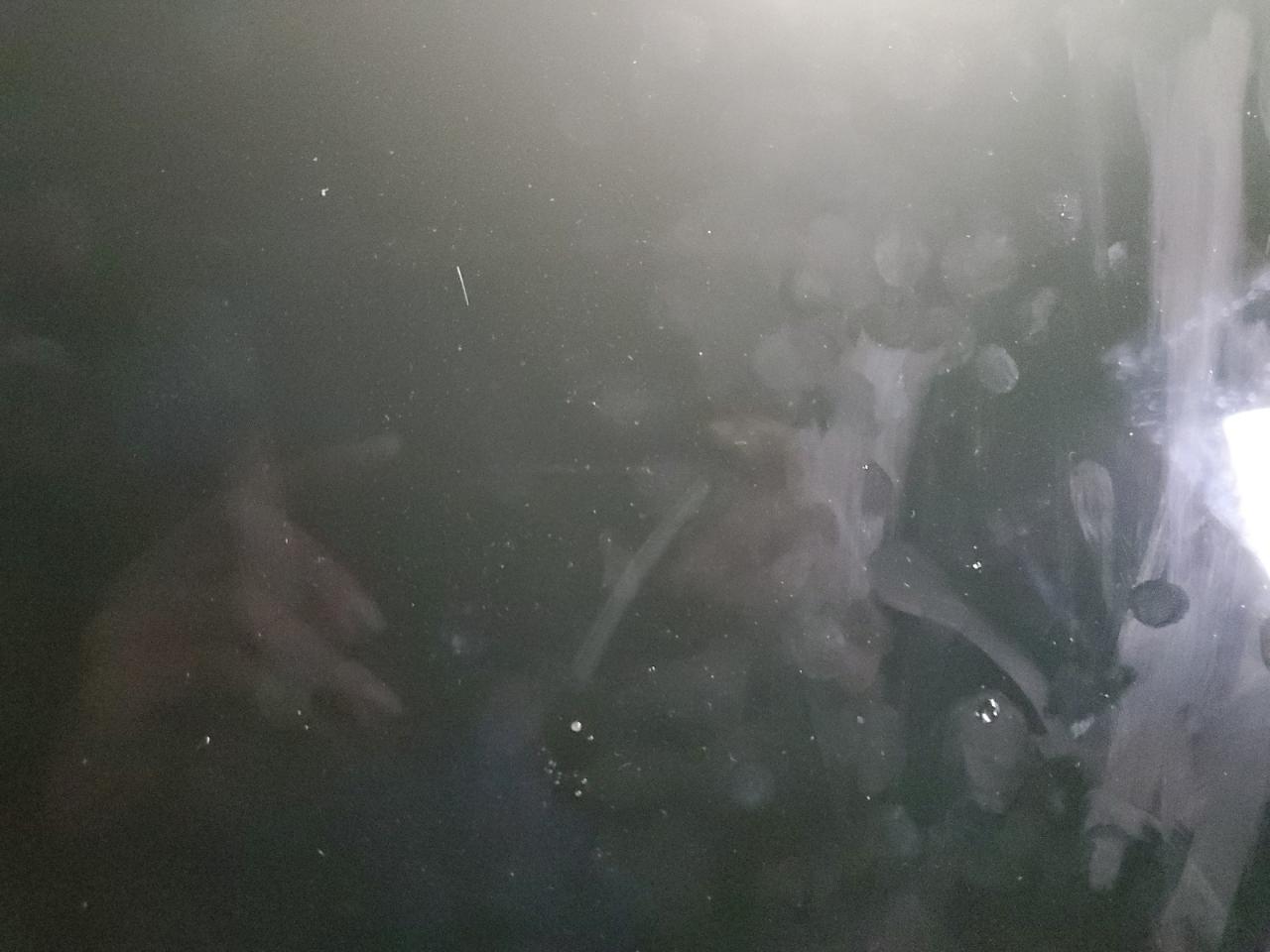 2026 Tesla Model Y VIN: 7SAYGDED2TF382672 Lot: 90575015