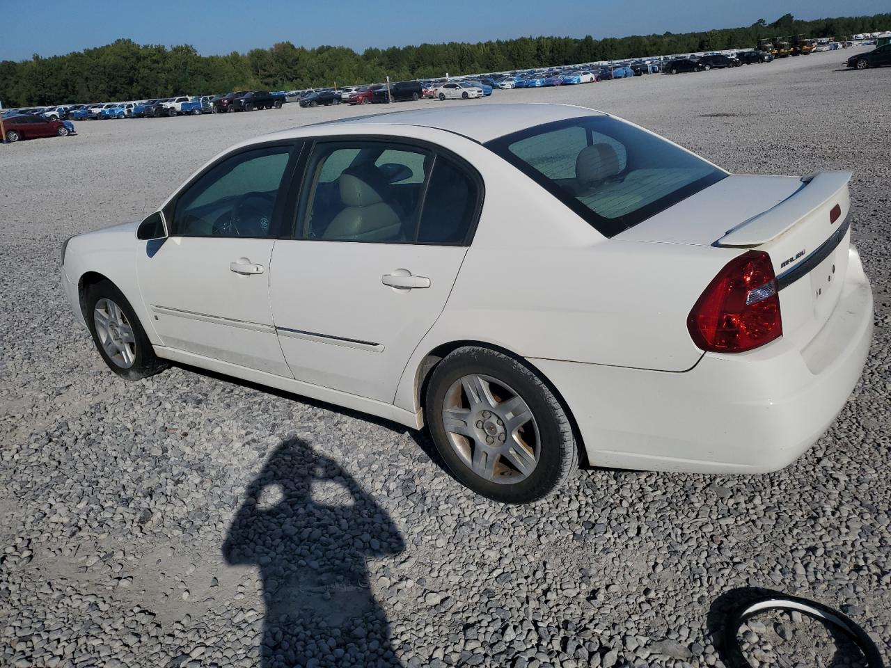2006 Chevrolet Malibu Lt VIN: 1G1ZT53836F126607 Lot: 82008765