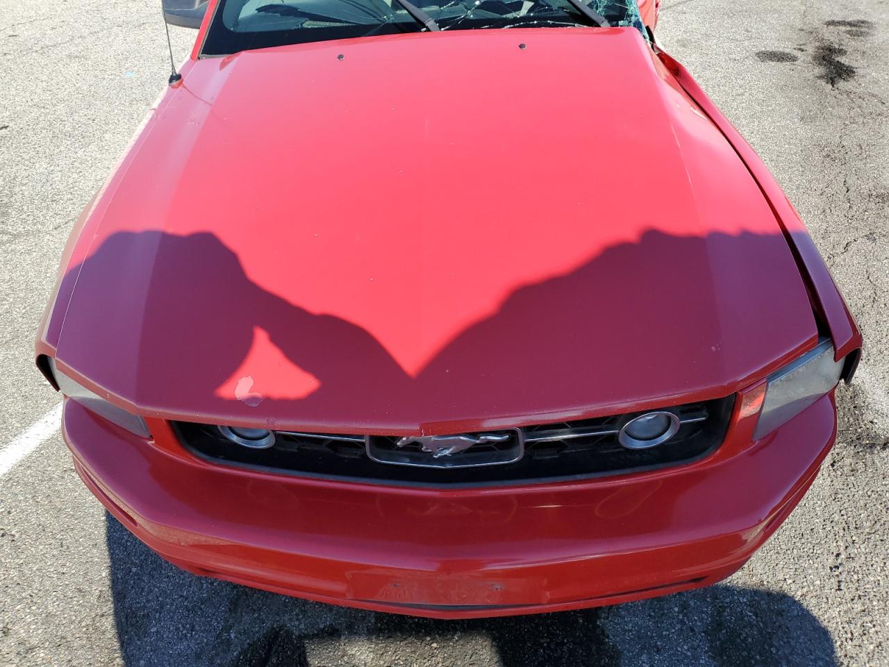 2006 Ford Mustang VIN: 1ZVHT84N265255014 Lot: 86896825