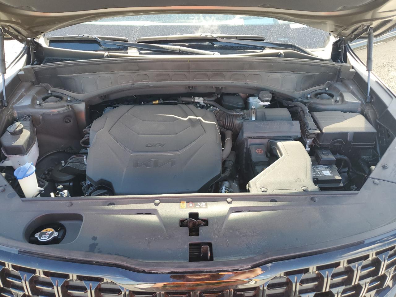 2024 Kia Telluride Sx VIN: 5XYP5DGCXRG497427 Lot: 85340945