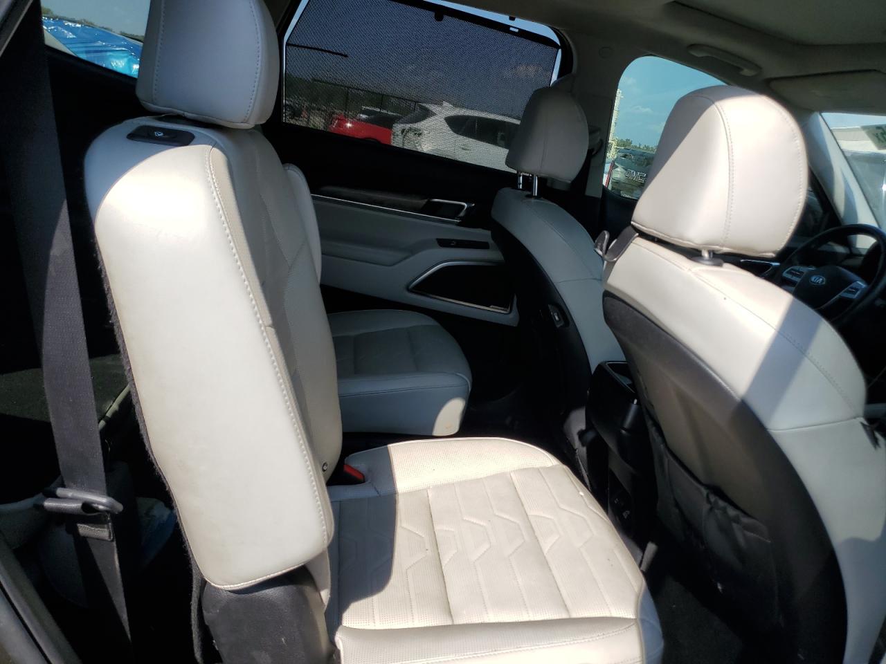 2020 Kia Telluride Sx VIN: 5XYP5DHC5LG006641 Lot: 84985115