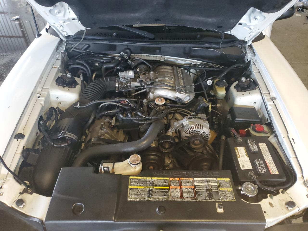 1996 Ford Mustang VIN: 1FALP4443TF233780 Lot: 82180695