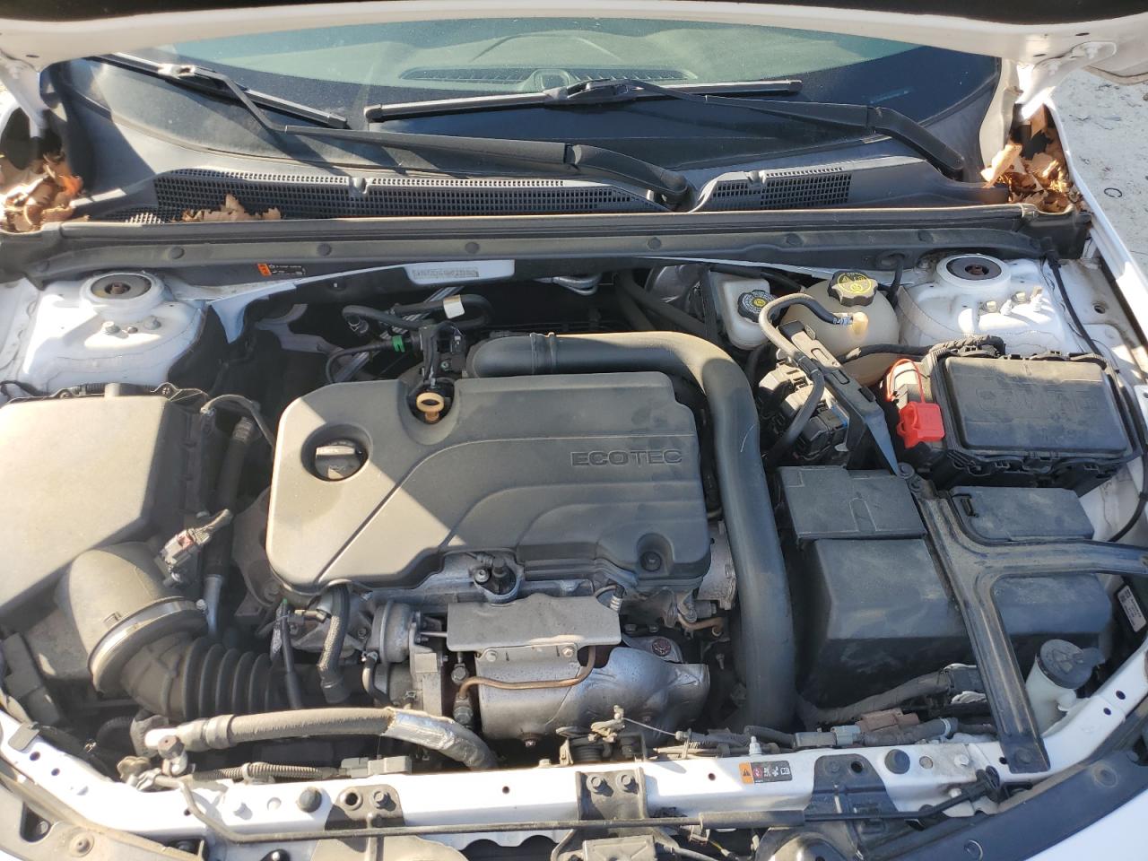 2019 Chevrolet Malibu Ls VIN: 1G1ZC5ST6KF213160 Lot: 84736915