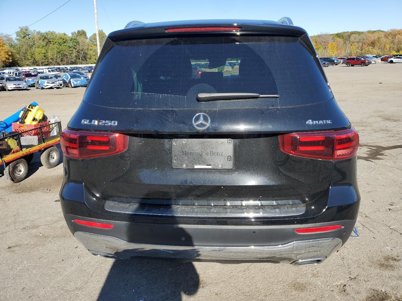 2024 Mercedes-Benz Glb 250 4Matic VIN: W1N4M4HB3RW355573 Lot: 82638915