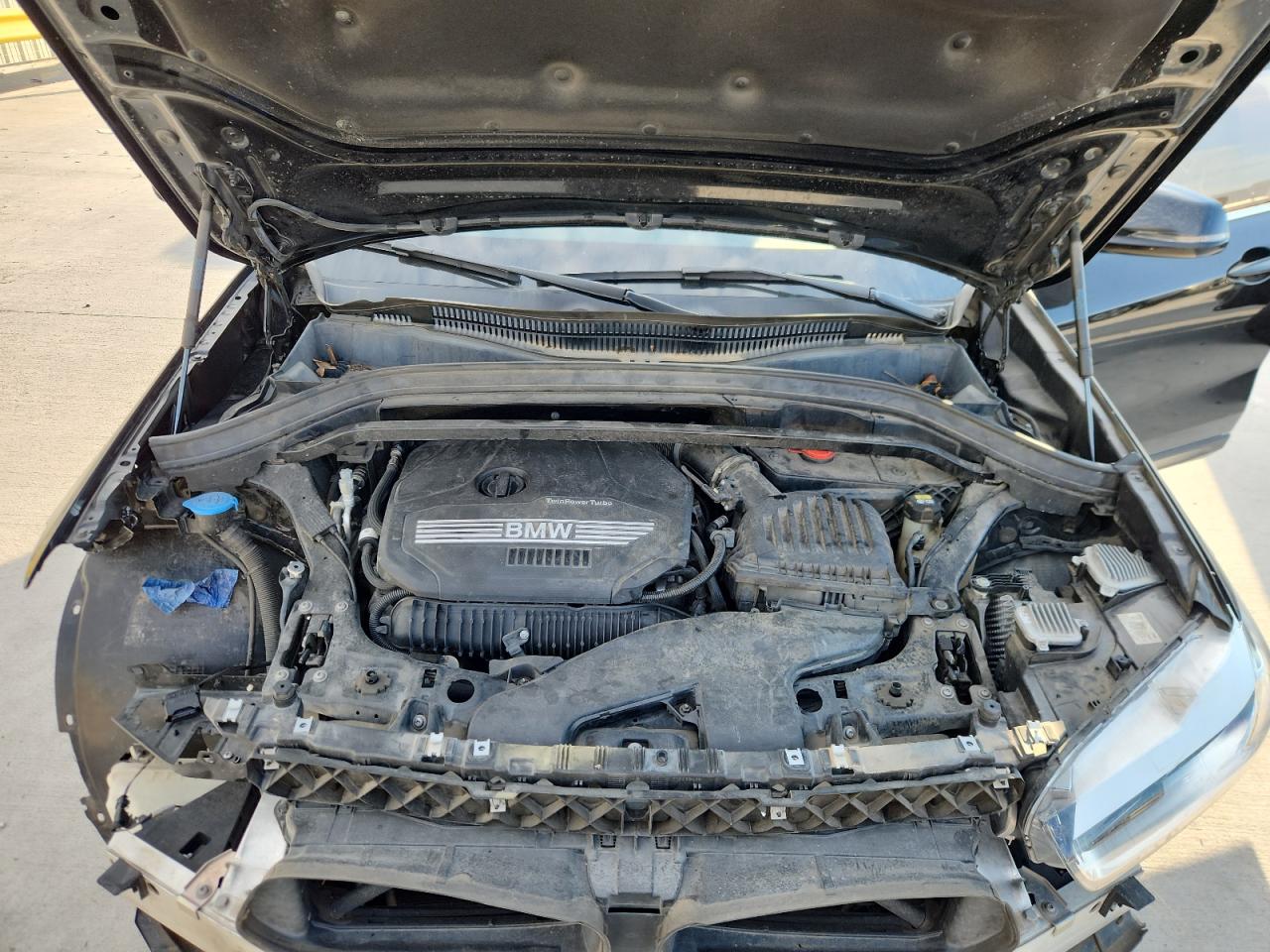 Фото: WBXYJ1C02N5U19529