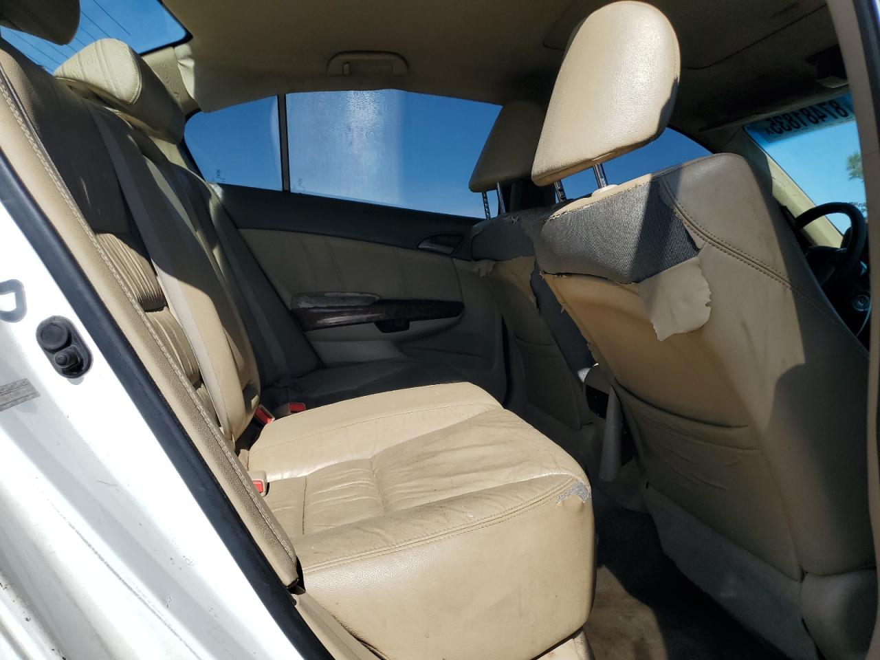 2010 Honda Accord Exl VIN: 1HGCP2F80AA114126 Lot: 87481835