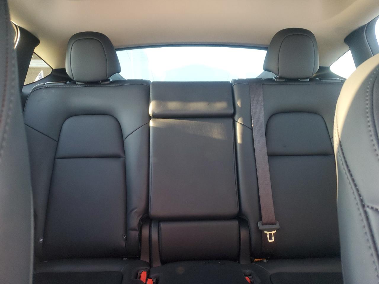 2024 Tesla Model Y VIN: 7SAYGAEE4RF206318 Lot: 89857895