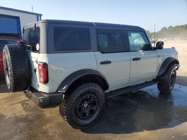  FORD BRONCO WIL 2024 Серый