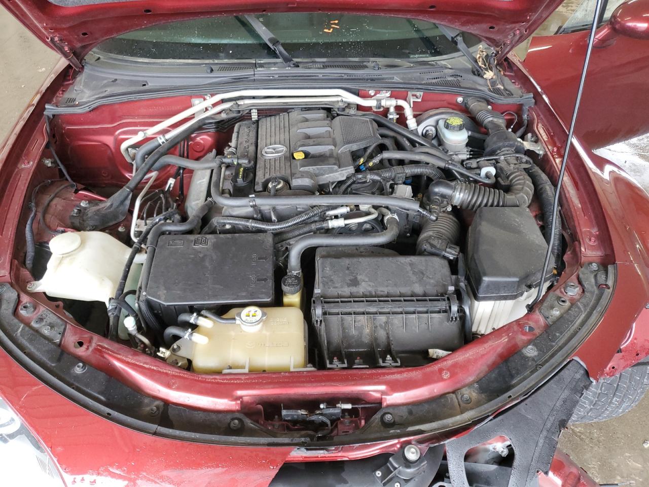 2009 Mazda Mx-5 Miata VIN: JM1NC25F590202142 Lot: 90381215