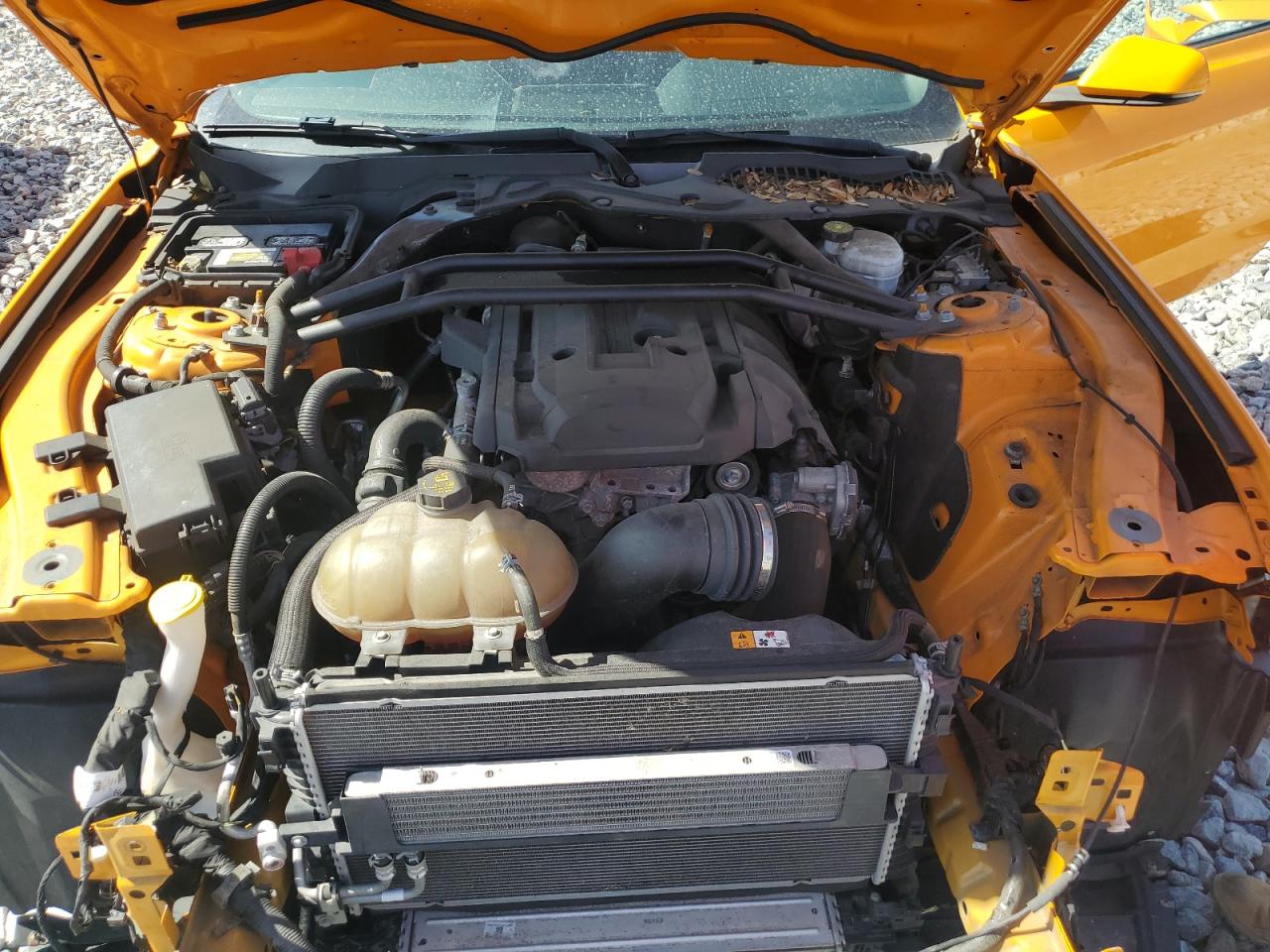 2018 Ford Mustang VIN: 1FATP8UH7J5156716 Lot: 85601985