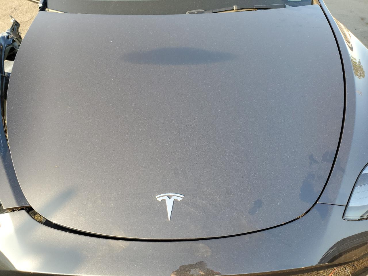 2025 Tesla Model Y VIN: 7SAYGDEE2SF248557 Lot: 84877515