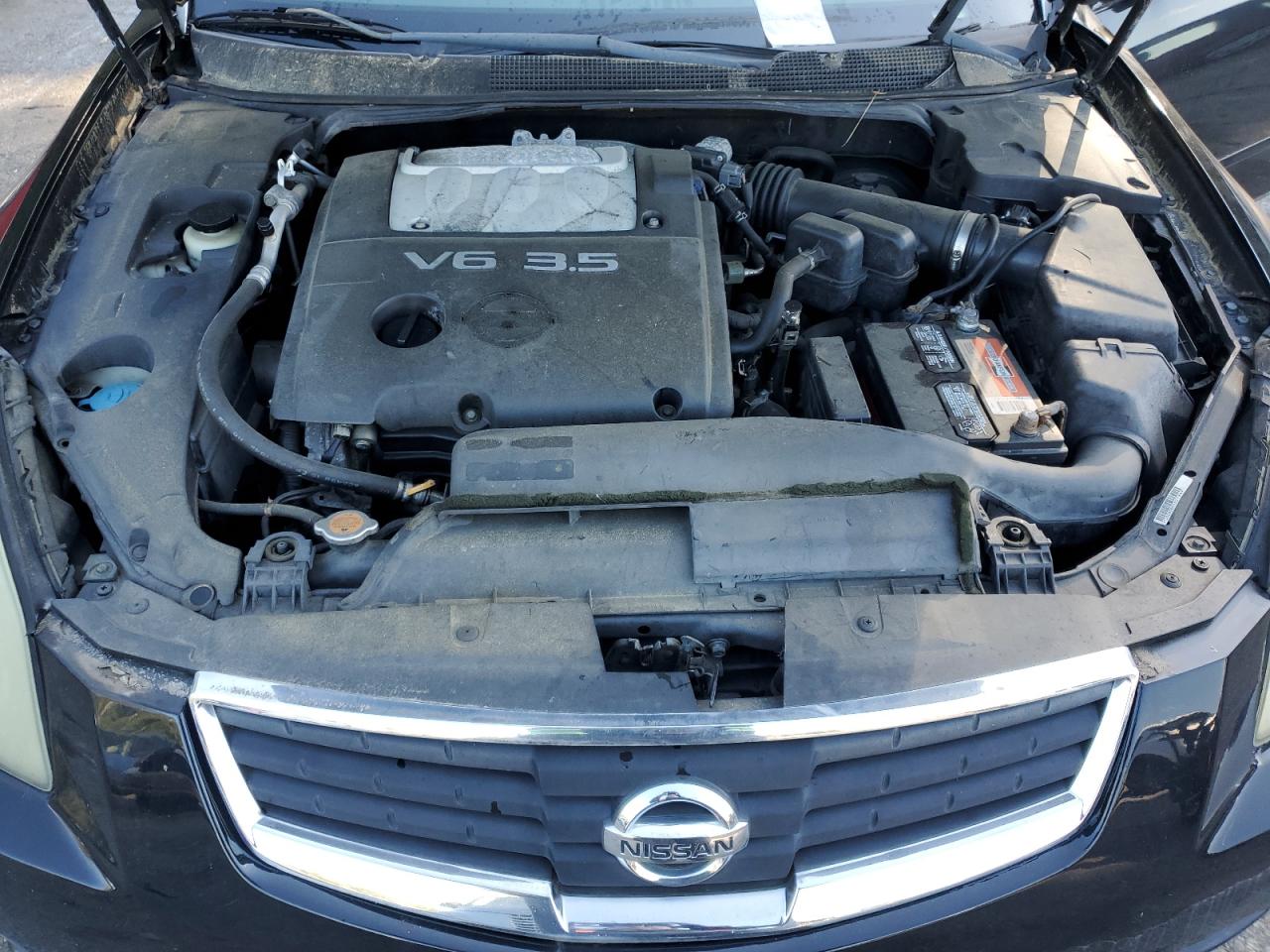 2007 Nissan Maxima Se VIN: 1N4BA41E87C853140 Lot: 85075785